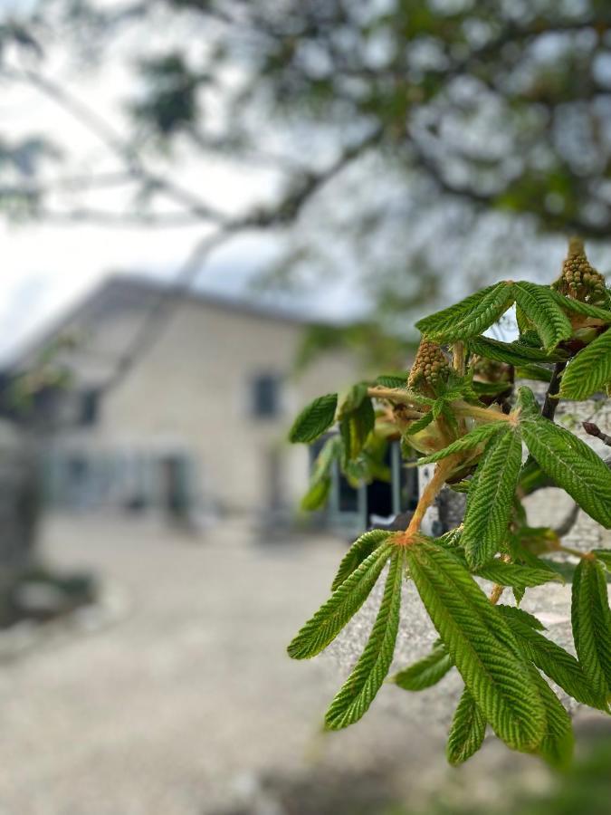 Figtrees Panzió Margueron Kültér fotó